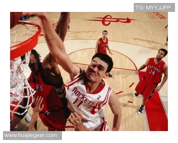 姚明大雕的传奇人生与篮球梦幻之旅探秘 姚明大雕的传奇人生与篮球梦幻之旅探秘