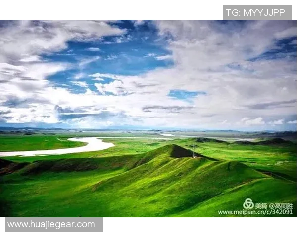 足球场上的传奇人生有声小说明星自传带你走进他们的心灵世界