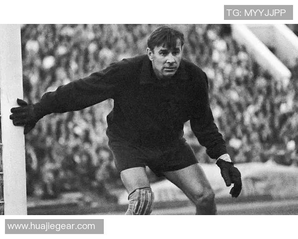 足球明星守护神的精彩瞬间与背后故事揭秘